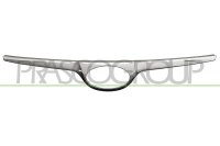 Kühlergitter für HYUNDAI i20 I (PB, PBT)