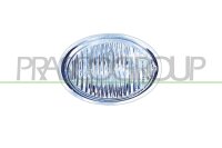 Blinkleuchte beidseitig,vorne links,vorne rechts für...