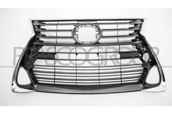 Kühlergitter für LEXUS GS (_L1_)