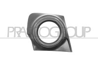 Lüftungsgitter, Stoßfänger rechts...