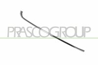 Zier-/Schutzleiste, Stoßfänger hinten rechts...