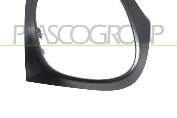 Zierblende, Schlussleuchte hinten rechts für SMART FORFOUR Schrägheck (453)