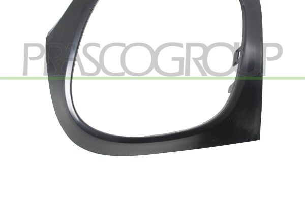 Zierblende, Schlussleuchte hinten links für SMART FORFOUR Schrägheck (453)