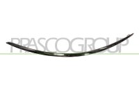 Zier-/Schutzleiste, Stoßfänger hinten rechts...