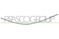 Zier-/Schutzleiste, Stoßfänger hinten rechts...