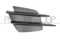 Lüftungsgitter, Stoßfänger vorne links...