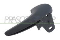 Türgriff, Innenausstattung innen,vorne rechts...