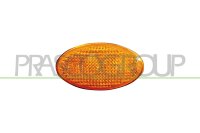 Lichtscheibe, Blinkleuchte für MINI MINI (R50, R53)