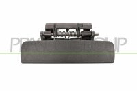 Türaußengriff außen,hinten links...