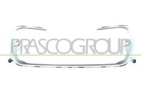 Zier-/Schutzleiste, Kühlergitter für PEUGEOT...