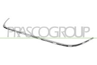 Zier-/Schutzleiste, Kühlergitter für PEUGEOT...