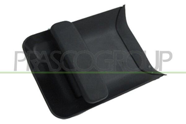 Türaußengriff außen,hinten links für CITROËN BERLINGO / BERLINGO FIRST Kasten/Großraumlimousine (M_)