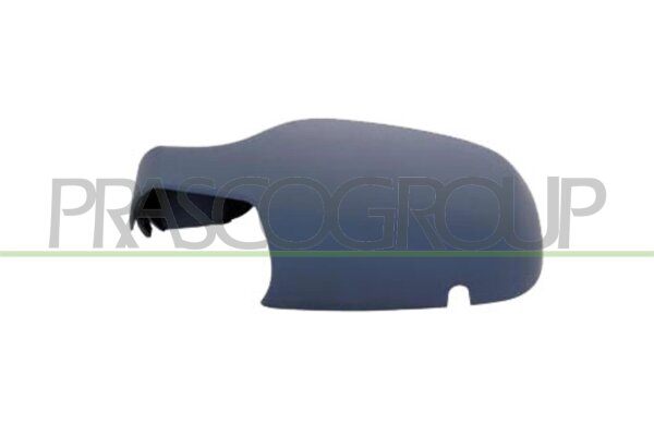 Abdeckung, Außenspiegel links für RENAULT CLIO III (BR0/1, CR0/1)