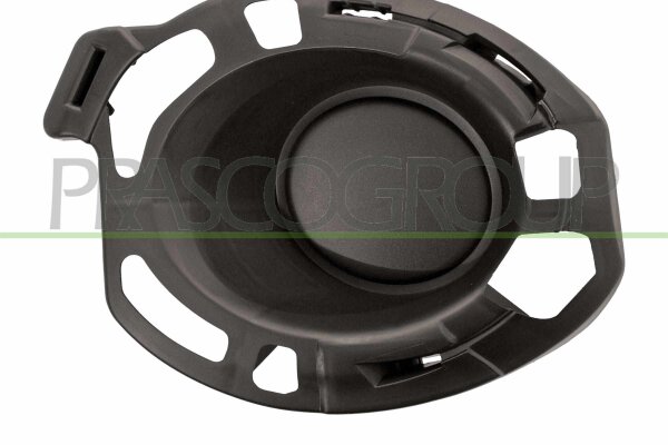 Lüftungsgitter, Stoßfänger links für RENAULT CLIO III (BR0/1, CR0/1)