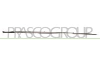 Zier-/Schutzleiste, Tür vorne rechts für...