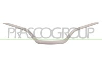 Zier-/Schutzleiste, Kühlergitter für RENAULT...