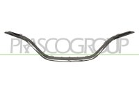 Zier-/Schutzleiste, Kühlergitter für RENAULT...