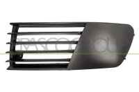 Lüftungsgitter, Stoßfänger vorne links...