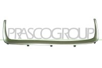 Zier-/Schutzleiste, Kühlergitter für SUZUKI GRAND VITARA II (JT, TE, TD)