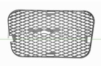 Lüftungsgitter, Stoßfänger vorne...