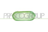 Blinkleuchte beidseitig,seitlicher Einbau für VW...