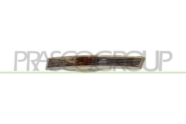 Blinkleuchte vorne links für VW PASSAT B6 (3C2)