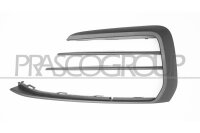 Lüftungsgitter, Stoßfänger vorne links...