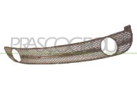 Lüftungsgitter, Stoßfänger vorne für...