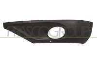 Lüftungsgitter, Stoßfänger links für VW TOUAREG (7P5, 7P6)