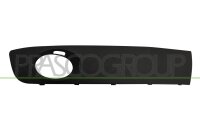 Lüftungsgitter, Stoßfänger vorne rechts...