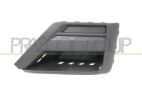 Lüftungsgitter, Stoßfänger vorne rechts...