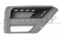 Lüftungsgitter, Stoßfänger vorne rechts...