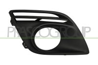 Lüftungsgitter, Stoßfänger rechts...