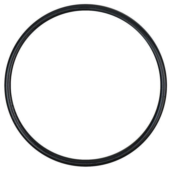 KS TOOLS 515.3061-R021P O-Ring