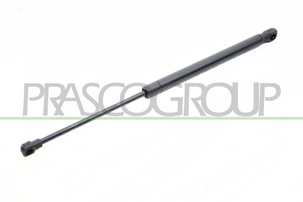 Gasfeder, Koffer-/Laderaum hinten links,hinten rechts für BMW 1 (E87)