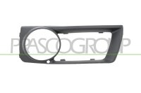 Lüftungsgitter, Stoßfänger links,vorne links für BMW X6 (E71, E72)