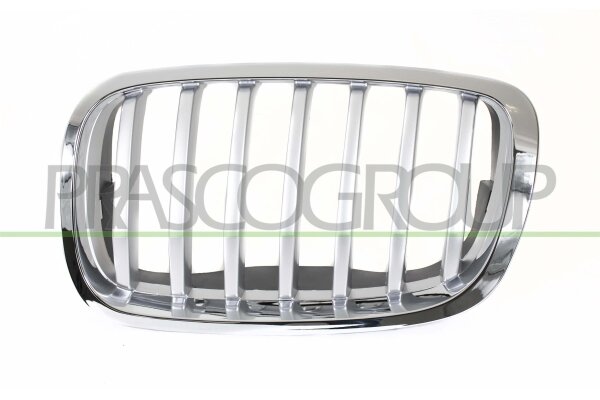 Kühlergitter links für BMW X6 (E71, E72)