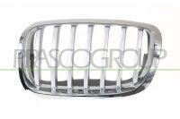 Kühlergitter links für BMW X6 (E71, E72)