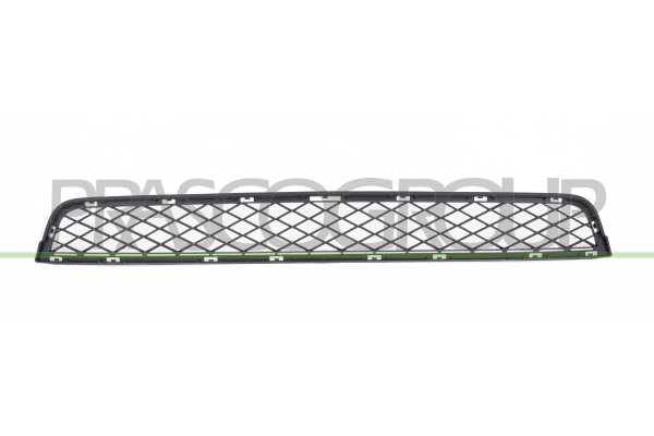 Lüftungsgitter, Stoßfänger vorne für BMW X3 (F25)