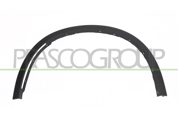 Zier-/Schutzleiste, Kotflügel vorne links für BMW X5 (F15, F85)