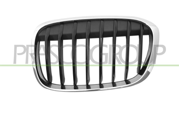 Kühlergitter links für BMW X1 (F48)