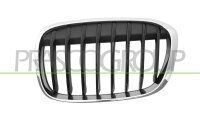 Kühlergitter links für BMW X1 (F48)
