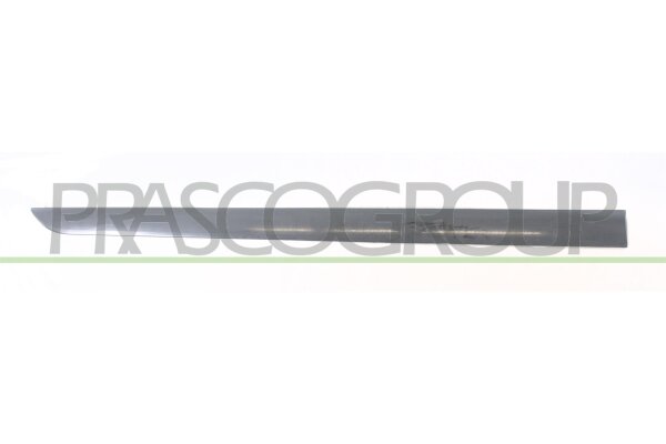 Zier-/Schutzleiste, Tür vorne rechts für OPEL ASTRA H (A04)