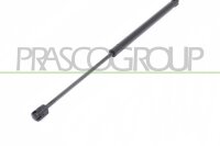 Gasfeder, Koffer-/Laderaum beidseitig für VAUXHALL...