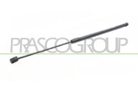 Gasfeder, Koffer-/Laderaum hinten links,hinten rechts...