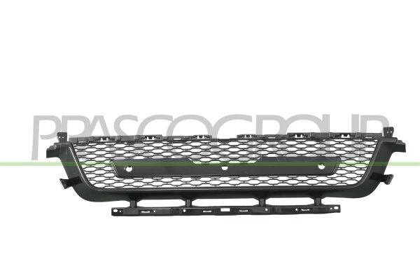 Lüftungsgitter, Stoßfänger vorne für LAND ROVER RANGE ROVER SPORT II (L494)