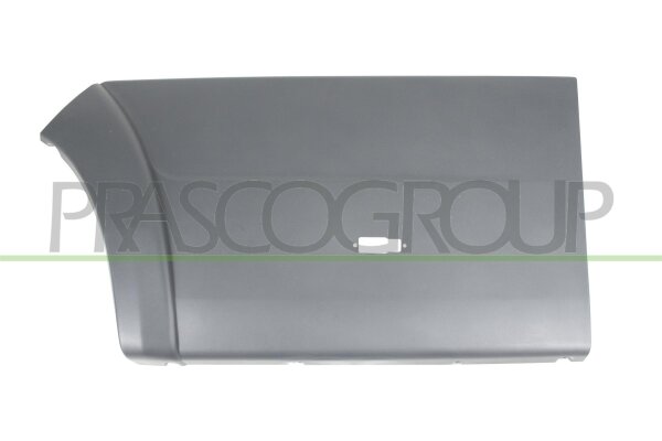 Zier-/Schutzleiste, Tür hinten links für FIAT DUCATO Kasten (250_)