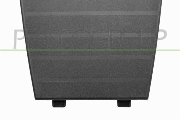 Blende, Stoßfänger vorne für PEUGEOT 2008 II (UD_, US_, UY_, UJ_, UR_, UC_)