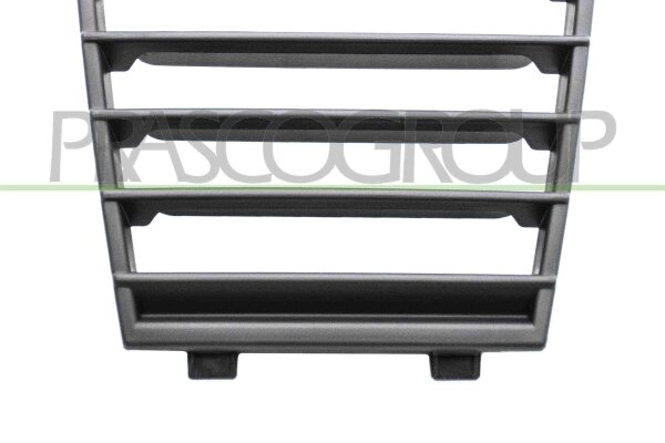Lüftungsgitter, Stoßfänger vorne für PEUGEOT 2008 II (UD_, US_, UY_, UJ_, UR_, UC_)