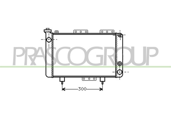 Kühler, Motorkühlung für RENAULT 4 (112_)